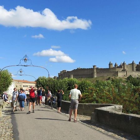 Tout Confort ! Climatisation, Calme, Piscine, Parking Gratuit, Terrasse, Wifi Carcassonne Bagian luar foto