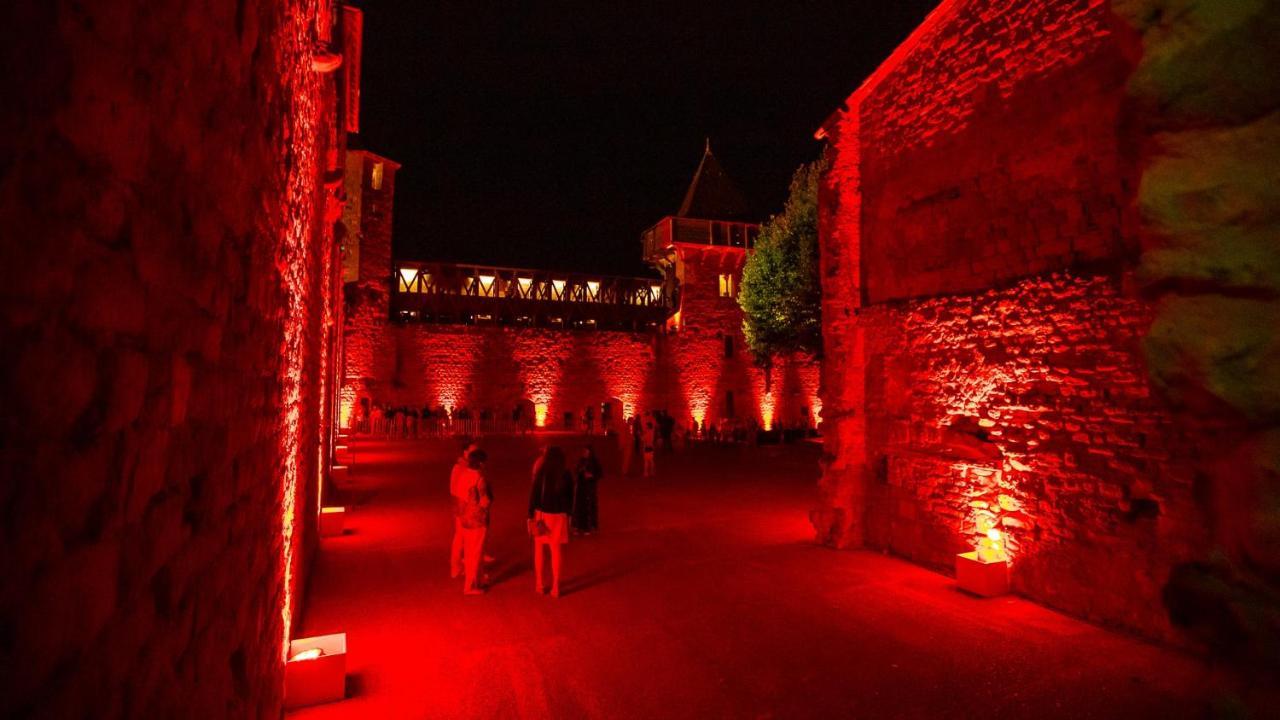 Tout Confort ! Climatisation, Calme, Piscine, Parking Gratuit, Terrasse, Wifi Carcassonne Bagian luar foto